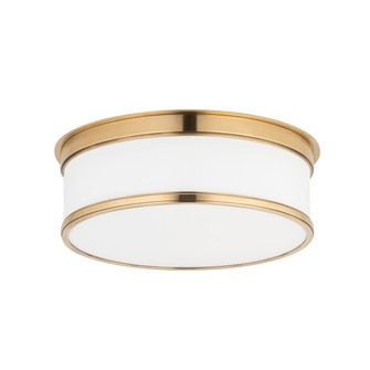 Geneva Two Light Flush Mount in Aged Brass (70|712AGB)