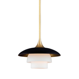 Barron One Light Pendant in Aged Brass (70|1010AGB)