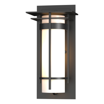 Banded Banded with Top Plate Small Outdoor Sconce in Coastal Burnished Steel (39|305992SKT78GG0066)