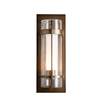 Torch One Light Outdoor Wall Sconce in Coastal Burnished Steel (39|305898SKT78ZS0656)