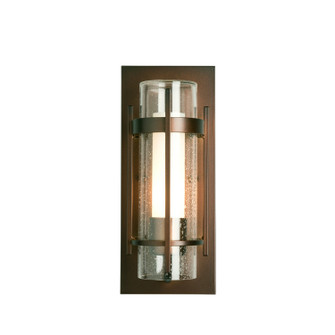 Torch One Light Outdoor Wall Sconce in Coastal Burnished Steel (39|305896SKT78ZS0654)
