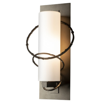 Olympus One Light Outdoor Wall Sconce in Coastal Natural Iron (39|302401SKT20GG0066)