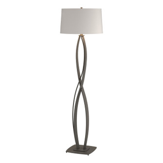 Almost Infinity One Light Floor Lamp in Natural Iron (39|232686SKT20SE1894)