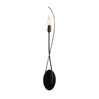 Willow Willow Sconce in Black (39|209120SKT10)