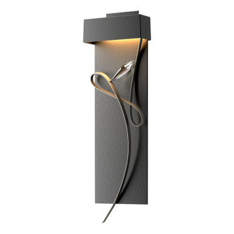 Rhapsody Rhapsody LED Sconce in Black (39|205440LED1020CR)