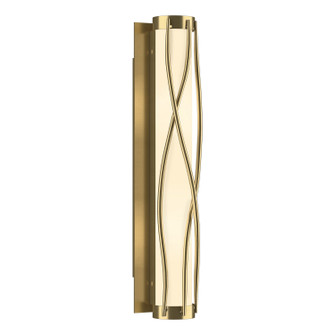 Twine Four Light Wall Sconce in Modern Brass (39|205401SKT86GG0347)