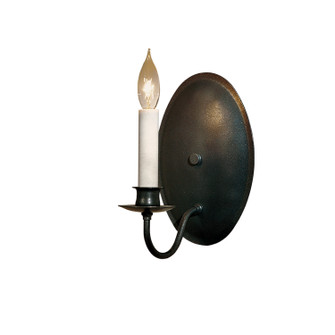 Simple Lines One Light Wall Sconce in Natural Iron (39|204210SKT20)