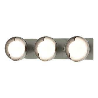 Brooklyn Brooklyn 3-Light Straight Double Shade Bath Sconce in Sterling (39|201378SKT8585GG0711)