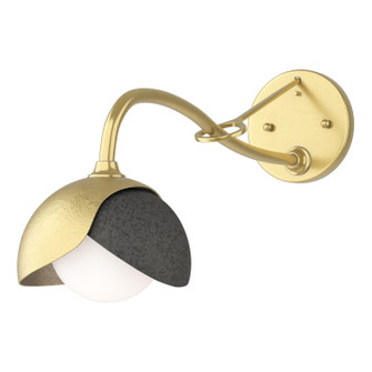 Brooklyn One Light Wall Sconce in Modern Brass (39|201377SKT8620GG0711)