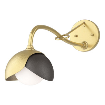 Brooklyn One Light Wall Sconce in Modern Brass (39|201377SKT8614GG0711)