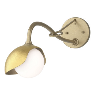 Brooklyn One Light Wall Sconce in Soft Gold (39|201376SKT8486GG0711)