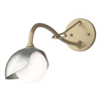 Brooklyn One Light Wall Sconce in Soft Gold (39|201376SKT8485GG0711)