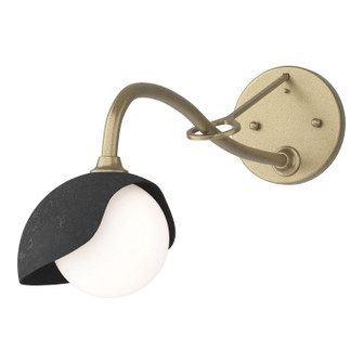 Brooklyn One Light Wall Sconce in Soft Gold (39|201376SKT8410GG0711)