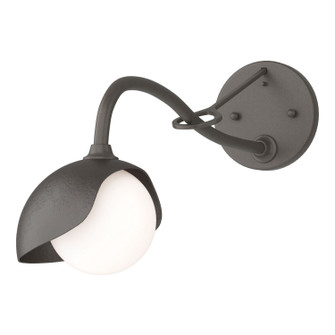 Brooklyn One Light Wall Sconce in Dark Smoke (39|201376SKT0714GG0711)