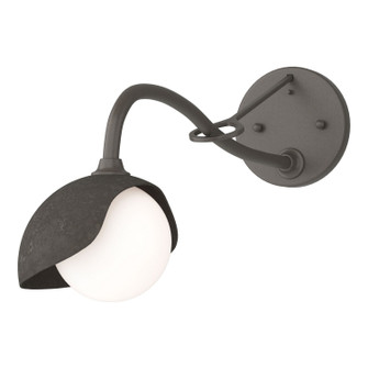 Brooklyn Brooklyn 1-Light Single Shade Long-Arm Sconce in Dark Smoke (39|201376SKT0707GG0711)
