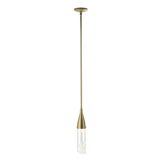 Fritz One Light Pendant in Ink (39|188900SKTMULT89ZM0617)
