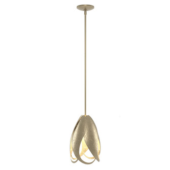Pental One Light Mini Pendant in Soft Gold (39|188770SKTMULT84)