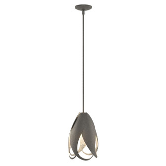 Pental One Light Mini Pendant in Natural Iron (39|188770SKTMULT20)