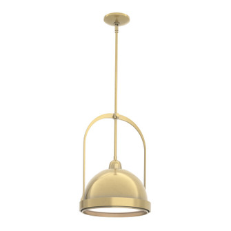 Atlas One Light Pendant in Black (39|187462SKTMULT1002)