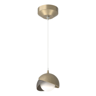 Brooklyn One Light Mini Pendant in Soft Gold (39|161183SKTSTND8407GG0711)