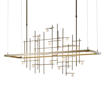 Four Seasons LED Pendant in Oil Rubbed Bronze (39|139752LEDLONG14YG0500)