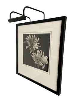 Slim-line One Light Picture Light in Black (30|SL67)