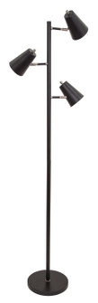 Kirby LED Floor Lamp in Black (30|K130BLK)