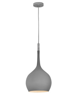 Ziggy LED Pendant in Matte Gray (13|4457MG)