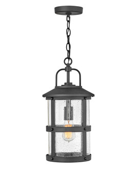 Lakehouse LED Hanging Lantern in Black (13|2682BKLV)