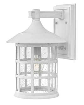 Freeport Coastal Elements LED Outdoor Lantern in Textured White (13|1865TW)