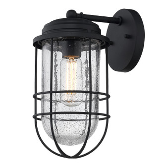 Seaport One Light Outdoor Wall Sconce in Natural Black (62|9808OWMNBSD)