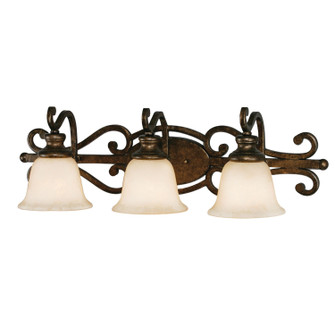 Heartwood Three Light Vanity Light in Burnt Sienna (62|8063BA3BUS)