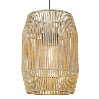 Seabrooke One Light Outdoor Pendant in Natural Black (62|6073O1PNBSS)