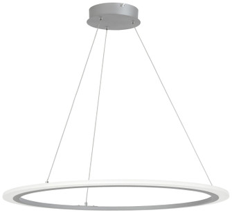 Discovery LED Pendant in Silver (42|P8141609L)