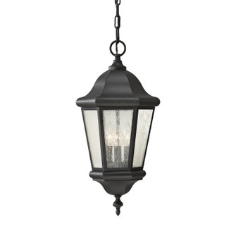 Martinsville Three Light Outdoor Pendant in Black (1|OL5911ENBK)