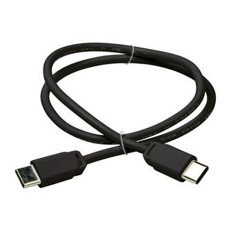 Disk Lighting Connector Cord in Black (1|984018S12)