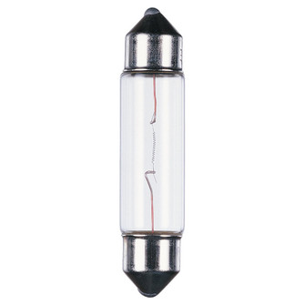 Lx Xenon Festoons Light Bulb in Satin White (1|9711833)