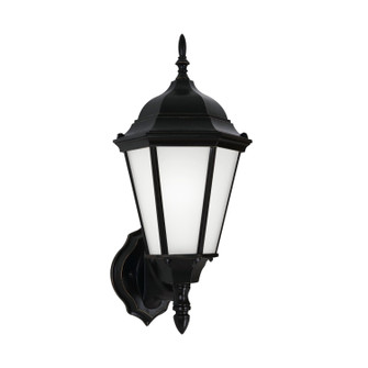 Bakersville One Light Outdoor Wall Lantern in Black (1|8994112)