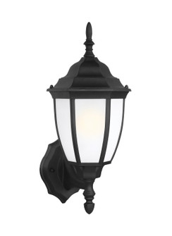 Bakersville One Light Outdoor Wall Lantern in Black (1|8994012)