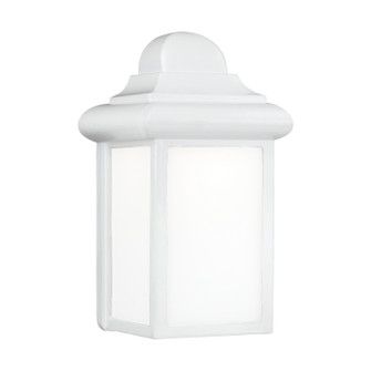 Mullberry Hill One Light Outdoor Wall Lantern in White (1|8988EN315)