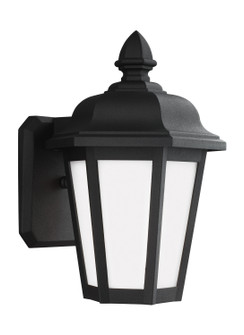 Brentwood One Light Outdoor Wall Lantern in Black (1|89822EN312)