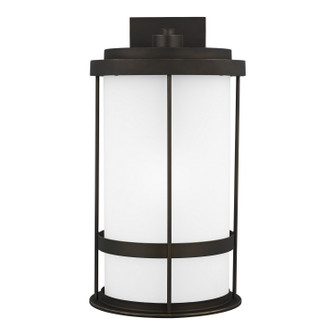 Wilburn One Light Outdoor Wall Lantern in Antique Bronze (1|8890901D71)