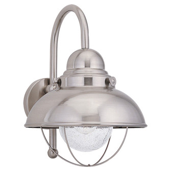 Sebring One Light Outdoor Wall Lantern in Brushed Stainless (1|887198)