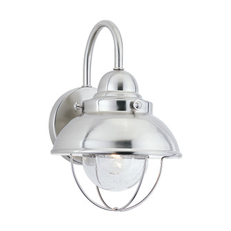 Sebring One Light Outdoor Wall Lantern in Brushed Stainless (1|8870EN398)