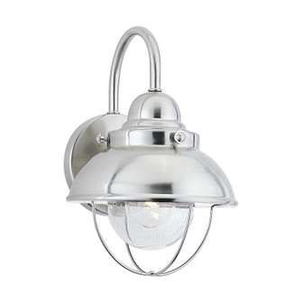Sebring One Light Outdoor Wall Lantern in Brushed Stainless (1|887098)