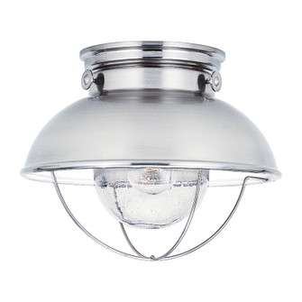 Sebring One Light Outdoor Flush Mount in Brushed Stainless (1|8869EN398)