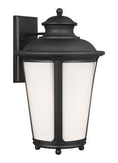 Cape May One Light Outdoor Wall Lantern in Black (1|88244EN312)