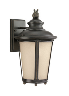 Cape May One Light Outdoor Wall Lantern in Burled Iron (1|88241EN3780)