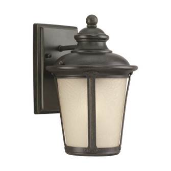 Cape May One Light Outdoor Wall Lantern in Burled Iron (1|88240780)