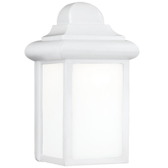 Mullberry Hill One Light Outdoor Wall Lantern in White (1|878815)